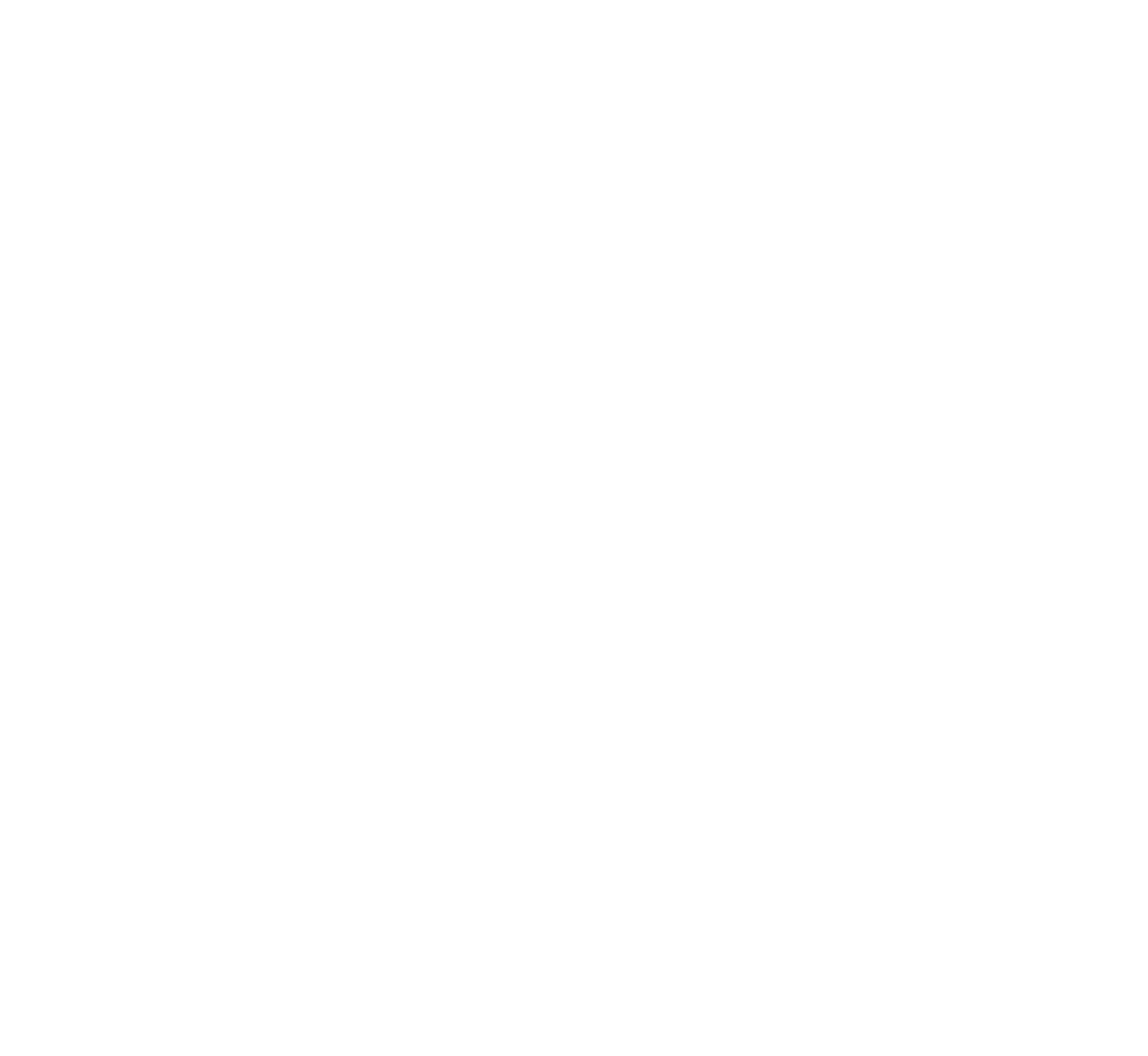Logo OTSS